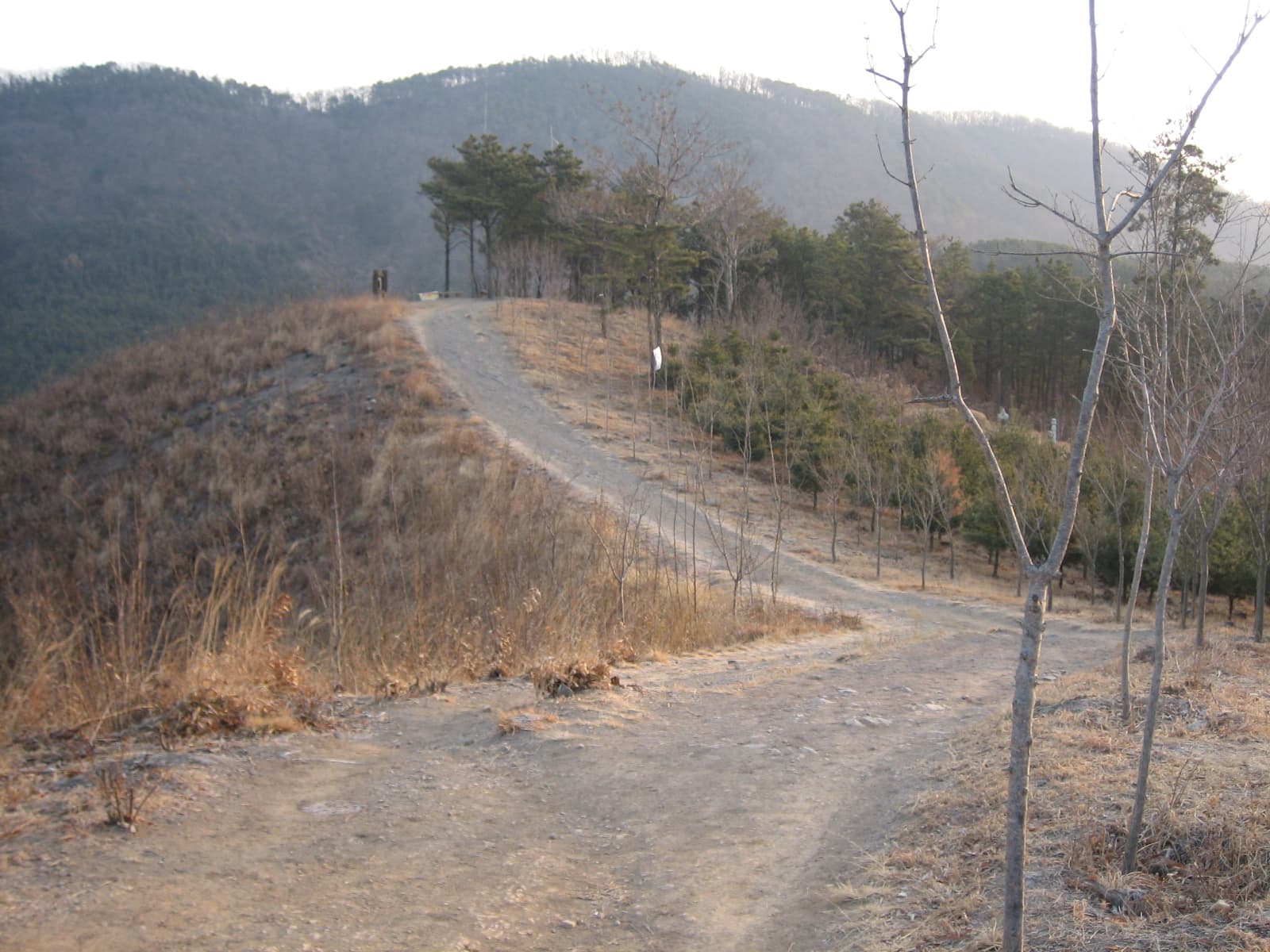 개구리소년: 도롱뇽 알을 잡으러 산에 오른 다섯 소년, 11년 뒤 유골로 돌아오다 — 대한민국 3대 미제