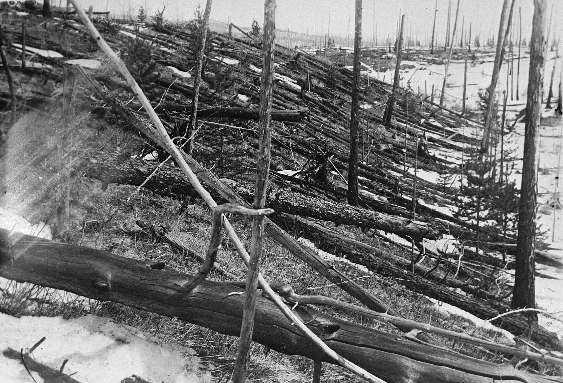 ツングースカ大爆発:広島原爆の数百倍の火球がシベリアの森を薙ぎ倒した——それなのにクレーターも隕石もなかった