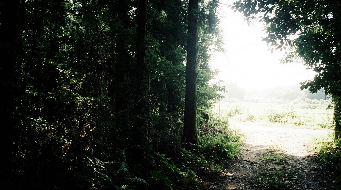 白熾暑氣中的夏日森林邊緣,蟬聲鄉野,濃綠的樹蔭與刺眼的強光相接(AI生成图像)