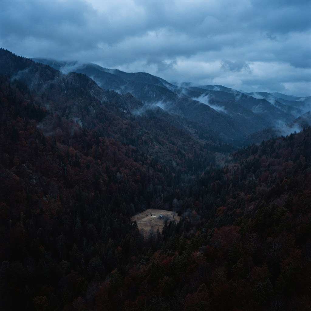 黃昏,低垂的雲層下,覆滿森林的廣袤山坡,遠遠的下方有一小片空地,無人(AI生成圖像)