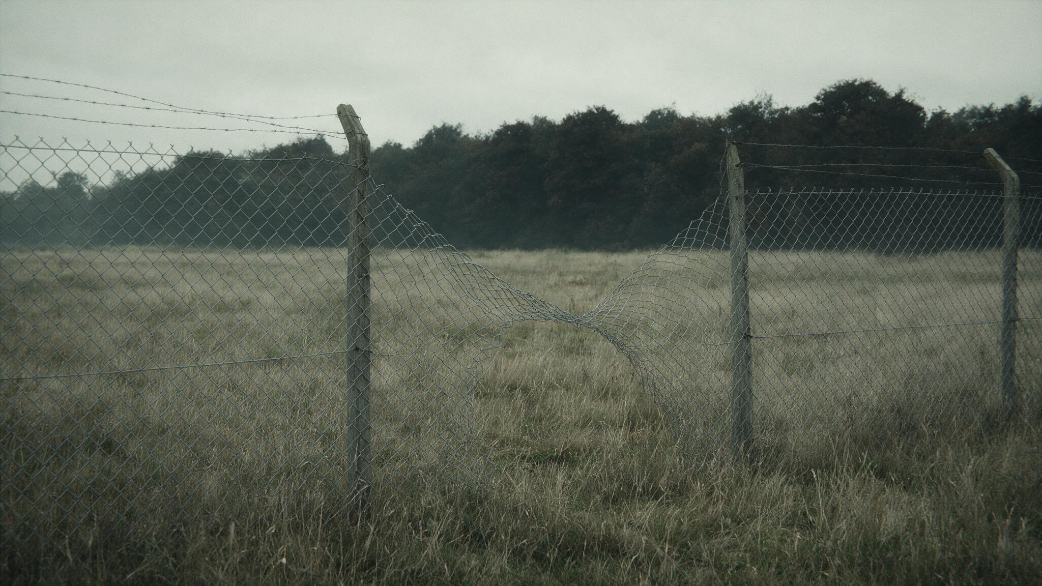 A perimeter chain-link fence at the edge of an airfield, an open meadow and a dark tree line beyond, no people, photorealistic (AI-generated image)