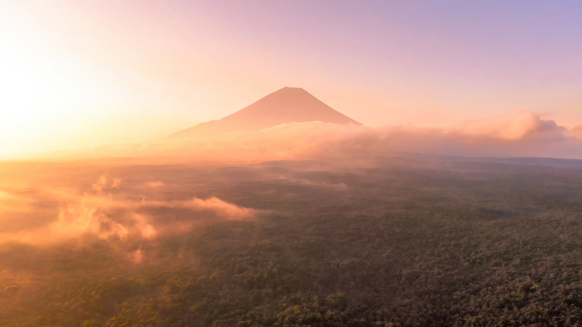 Mount Fuji at dawn with the Aokigahara forest spread below it. From a distance it looks like a green sea.