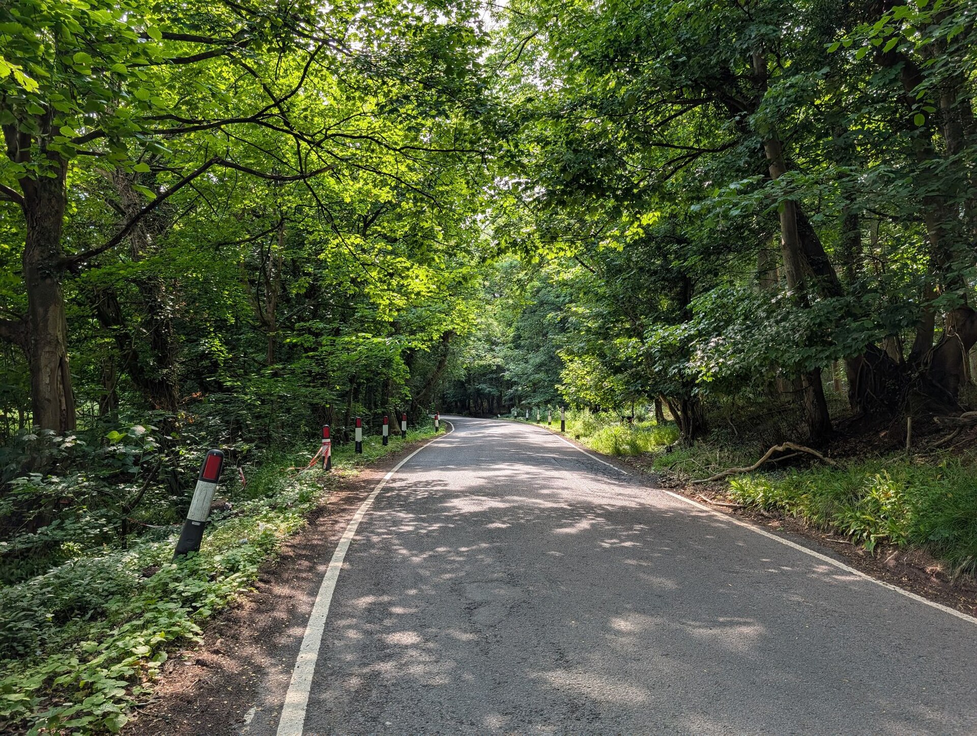 Hagley Wood Lane today, running through the woodland where the body was found — the Clent Hills stretch.