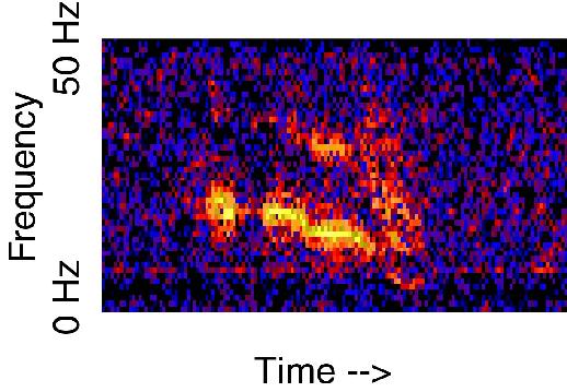 Spectrogram of 'Julia', another sound not yet fully explained (Source: NOAA)