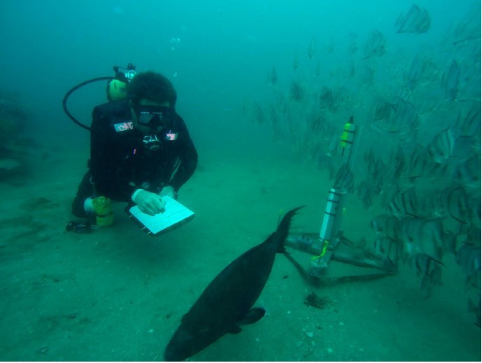 A hydrophone used by NOAA for deep-sea listening (Source: NOAA)
