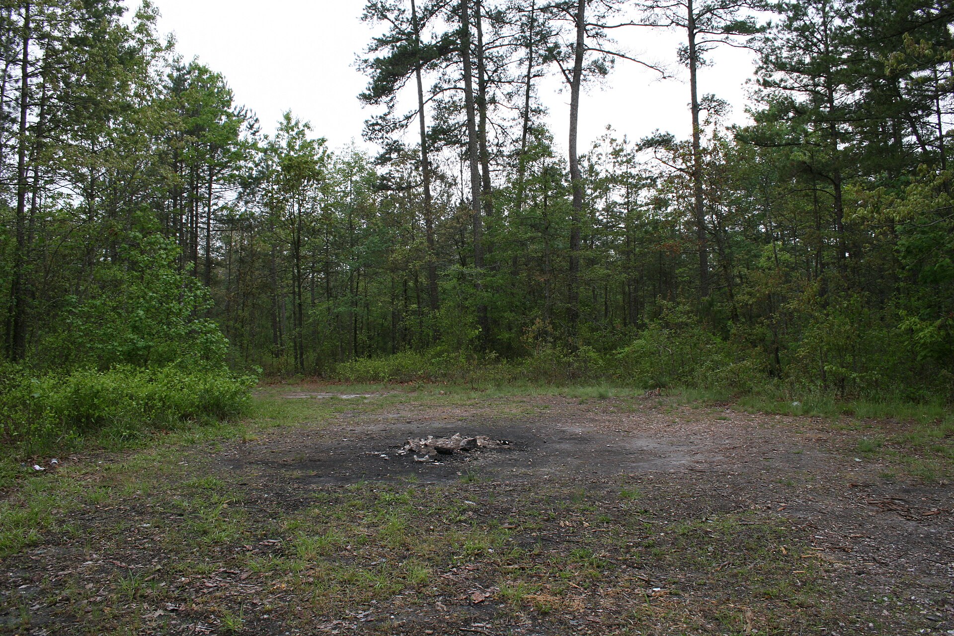 ノースカロライナ州チャタム郡の「悪魔の踏み跡」の実景。松林に囲まれた直径十二メートルほどの円形の裸地で、円のなかには草一本生えず、中央には訪問者が焚いた火の焦げた石が残っている。