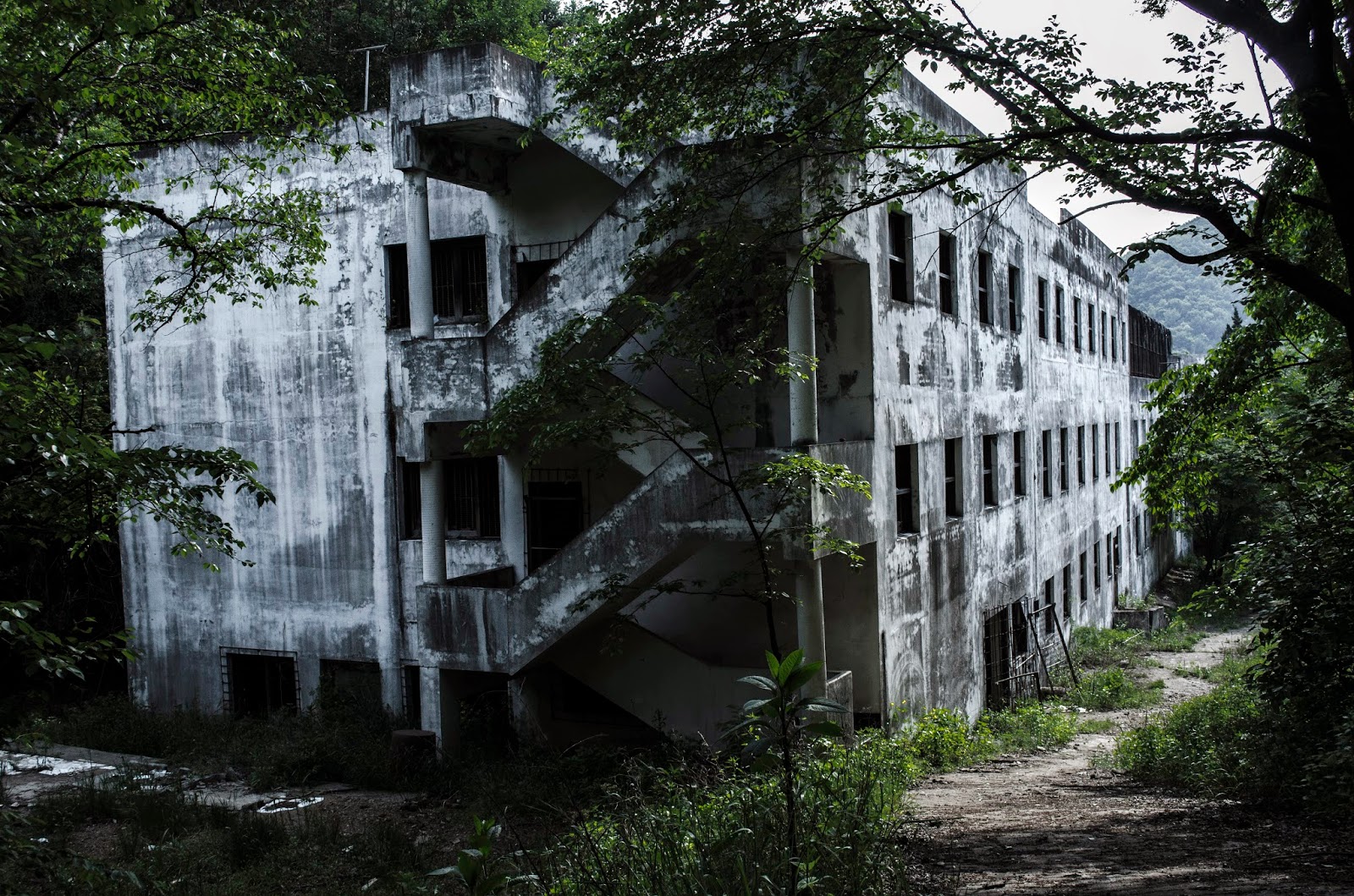 The actual hospital before demolition, still intact — a three-storey concrete building ringed by forest at the foot of the hills, with its external staircase and barred windows. Photographed on site in 2014.