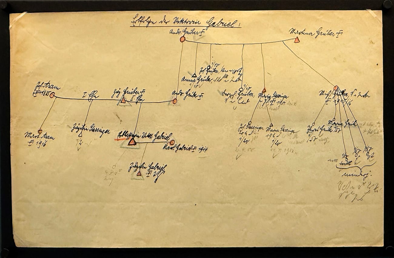 The Gruber family tree, laid out at a later exhibition on the case. (Burkhard Mücke / CC BY-SA 4.0)