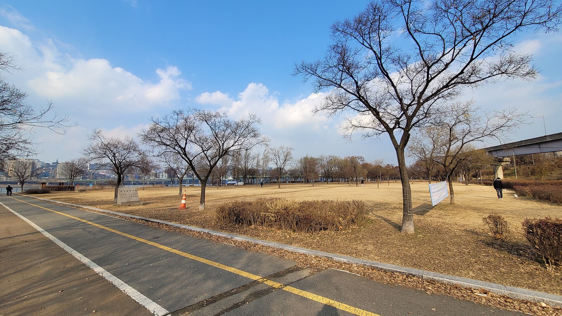 겨울의 한강 둔치. 나무가 앙상하게 마른 이 강변 일대에서 겨울 내내 수색이 이어졌다. 사진은 현재의 한강공원 실경이며 특정 발견 지점이 아니다.