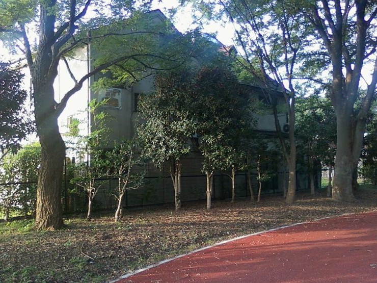 公園側から見た事件現場の家（Wikimedia Commons）