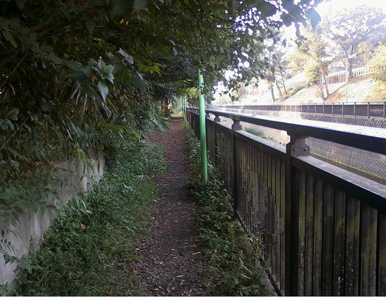 現場のわきを通る仙川の水路沿いの遊歩道（Wikimedia Commons）