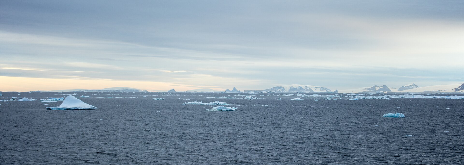 Drift ice and icebergs in the Bransfield Strait, Antarctica — the waters identified as a likely source region for The Bloop