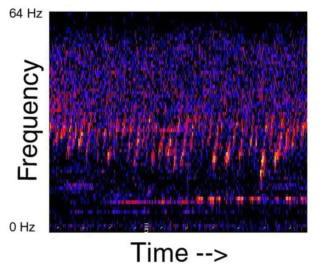 Spectrogram of the unexplained sound 'Upsweep' — the repeating pattern of rising tones across the 0-64 Hz band (Source: NOAA)