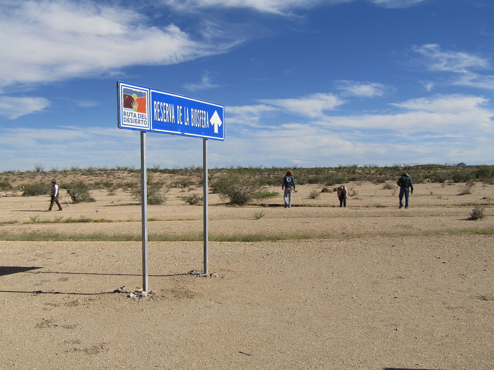 A desert road sign pointing the way to the Biosphere Reserve, with people walking the scrubland beyond it, scanning the ground